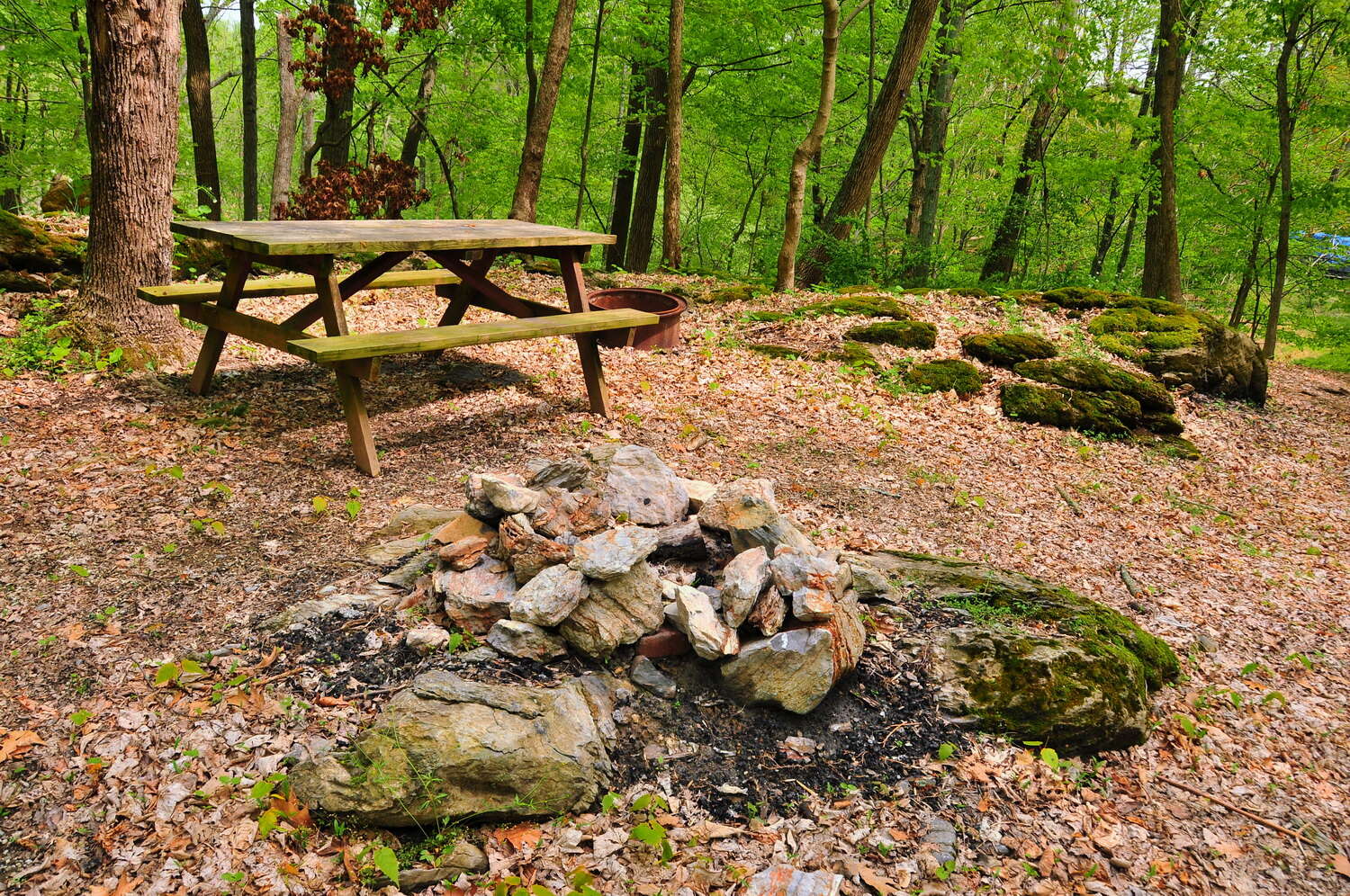 Campgrounds Around NJ NJ Camping Map